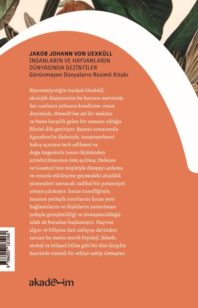 İnsanların ve Hayvanların Dünyasında Gezintiler arka kapak